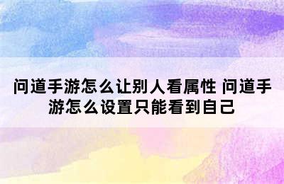 问道手游怎么让别人看属性 问道手游怎么设置只能看到自己